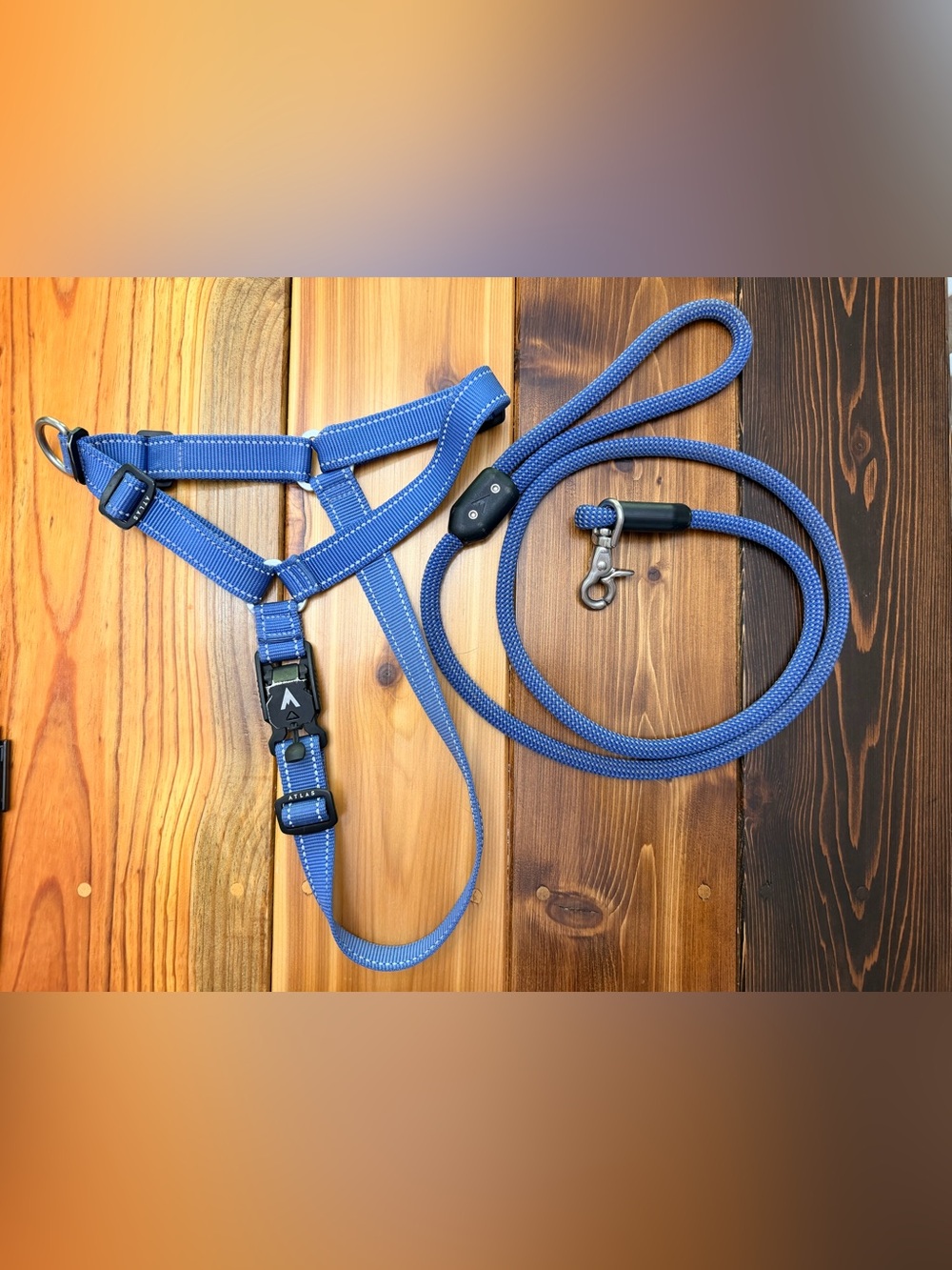 Dog Harness and Rope Leash Set
